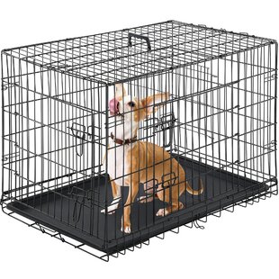 42 inch crate dog 2024 size